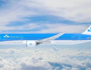 100 adet domuz ‘Boeing 787’ uçağını indirdi!