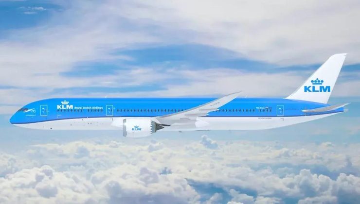 100 adet domuz ‘Boeing 787’ uçağını indirdi!